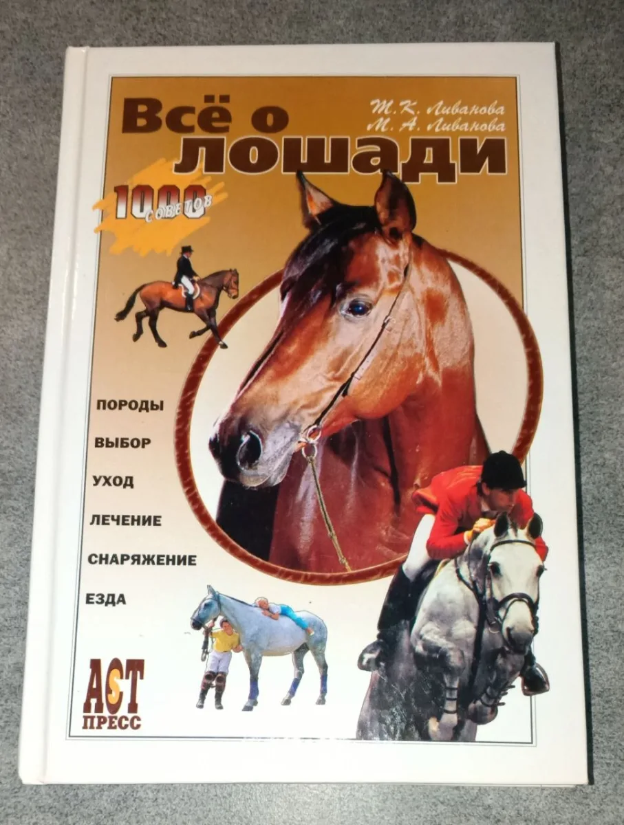 Всё о лошадях
