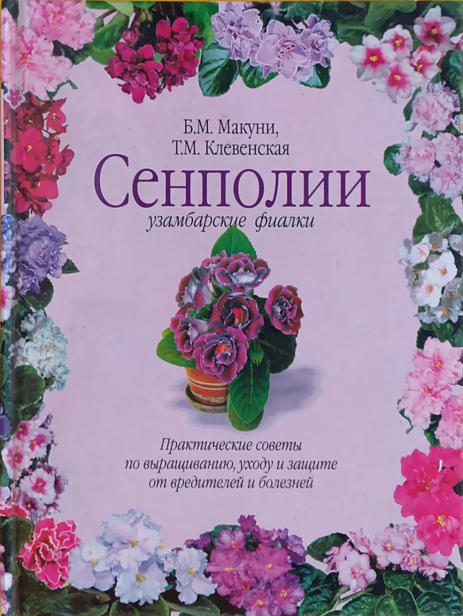 Сенполии. Узамбарские фиалки